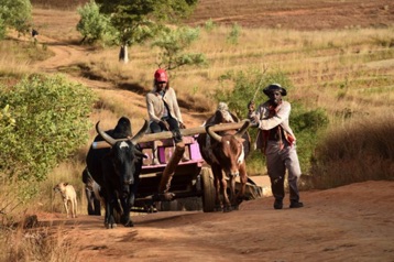083. Weg naar Tsaranoro vallei.jpg 083. Weg naar Tsaranoro vallei.jpg